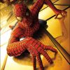Affiche du film Spider-Man de Sam Raimi (2002)