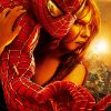 Affiche du film Spider-Man 2 de Sam Raimi (2004)