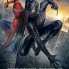 Affiche du film Spider-Man de Sam Raimi
