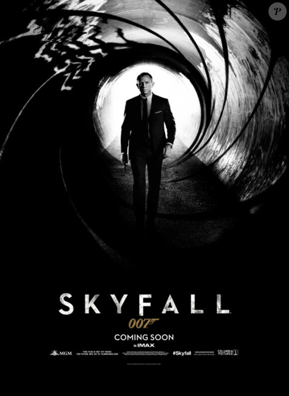 Daniel Craig dans Skyfall de Sam Mendes.