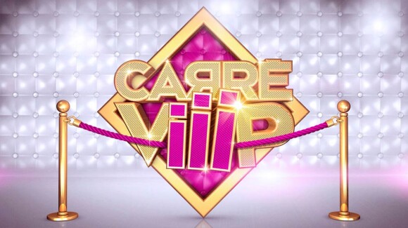 L'émission Carré ViiiP sur TF1 s'arrête, le 31 mars 2011.