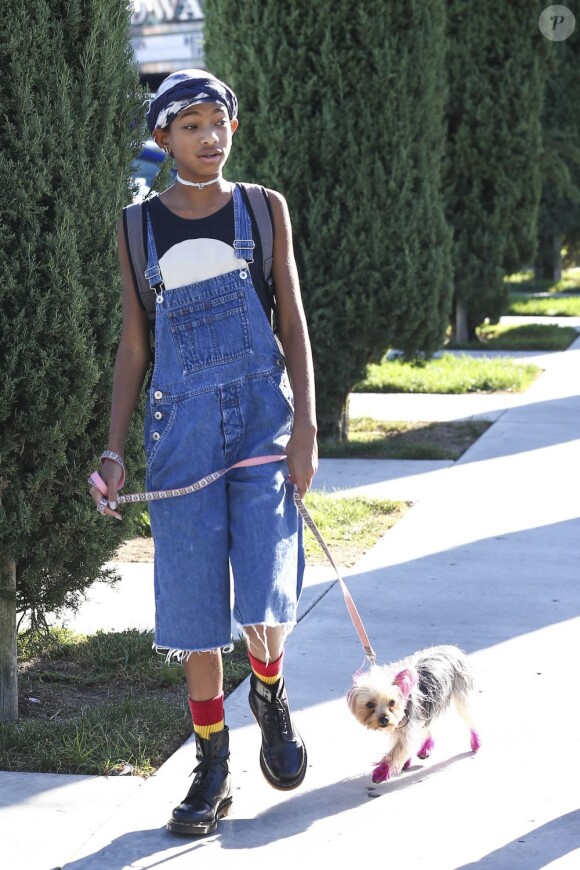 Exclusif - Willow Smith à Calabasas, promène son chien aux oreilles et pattes teintées en rose. Le 14 octobre 2012.