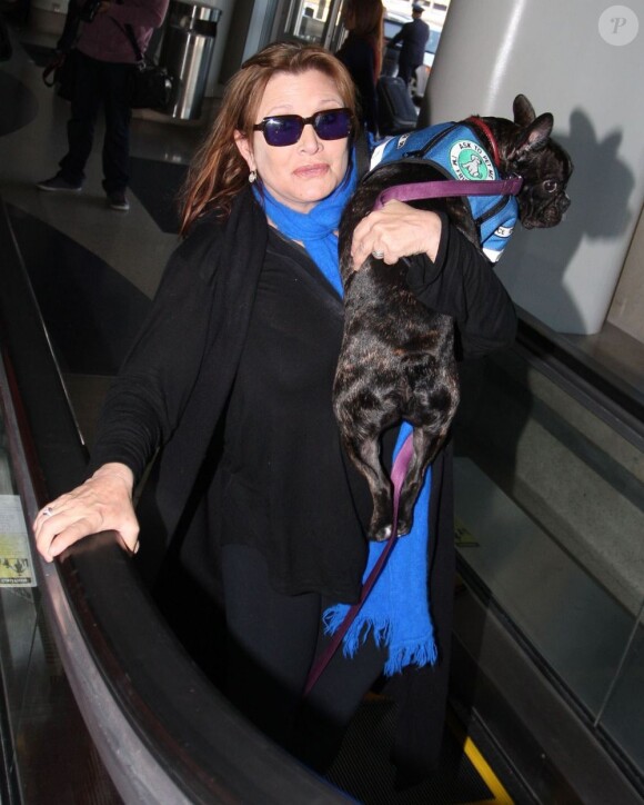 Carrie Fisher accompagnée de son chien à l'aéroport de Los Angeles, le 3 novembre 2012.