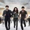 Poster du film Twilight - chapitre 5 : Révélation (2e partie)