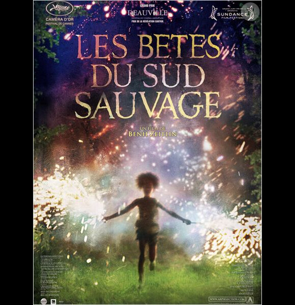 Affiche officielle du film Les bêtes du sud sauvage.
