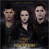 Affiche du film Twilight 5.