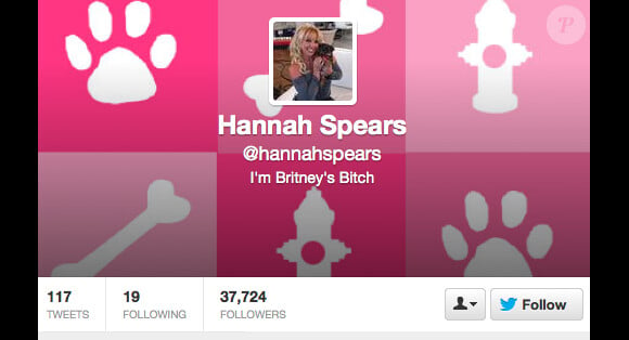 Le profil Twitter de Hannah Spears, le chien de Britney Spears.