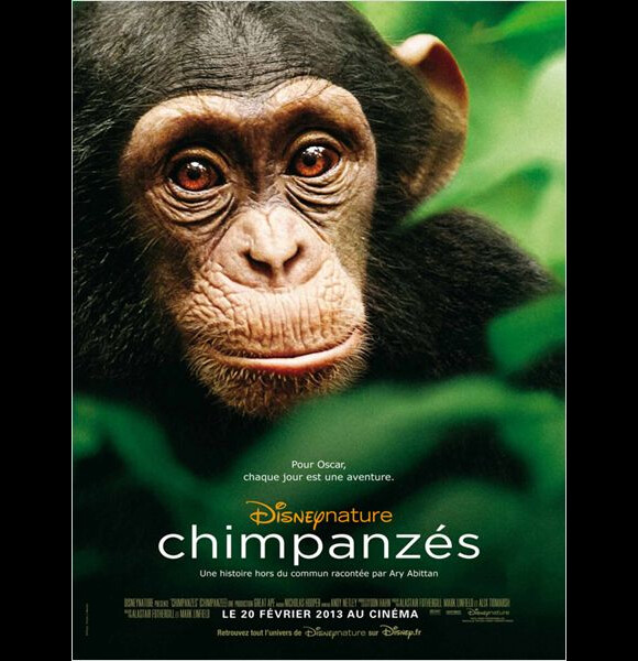 Affiche du film Chimpanzés.