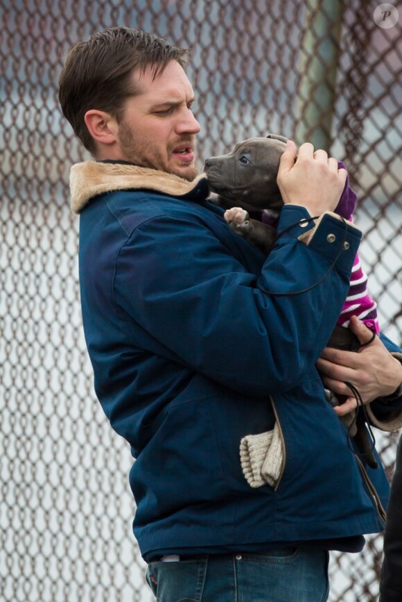 Tom Hardy prend soin de son nouvel ami sur le tournage du film Animal Rescue à Brooklyn, New York, le 18 mars 2013.