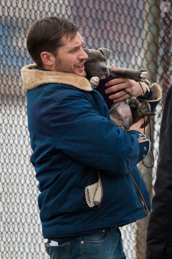 Tom Hardy s'éprend d'un petit pitbull sur le tournage du film Animal Rescue à Brooklyn, New York, le 18 mars 2013.