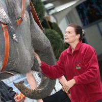 Stéphanie de Monaco : Colère et tendresse pour les éléphantes Baby et Népal