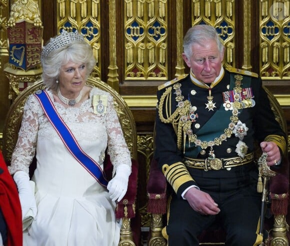 Charles et Camilla, les invités surprise ! La reine Elizabeth II présidait le 8 mai 2013 au palais de Westminster sa 60e ouverture cérémonielle du Parlement, en la présence habituelle de son époux le duc d'Edimbourg, et exceptionnelle de son fils le prince Charles, pour la première fois en 17 ans, et de Camilla Parker Bowles.