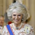  Camilla Parker Bowles, une grande première au Parlement. La reine Elizabeth II présidait le 8 mai 2013 au palais de Westminster sa 60e ouverture cérémonielle du Parlement, en la présence habituelle de son époux le duc d'Edimbourg, et exceptionnelle de son fils le prince Charles, pour la première fois en 17 ans, et de Camilla Parker Bowles. 