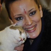 Kelly Bochenko soigne les chats : 'On me demande si je suis nue sous ma blouse'