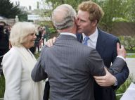 Prince Harry : La famille royale réunie autour de lui en son jardin Sentebale