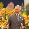 Le prince Charles au Chelsea Flower Show, lors de la journée d'inauguration VIP de l'exposition, le 20 mai 2013 à Londres.