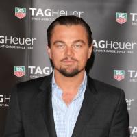 Leonardo DiCaprio : Toni Garrn de Victoria's Secret, sa nouvelle conquête ?