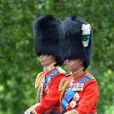 Le prince William, colonel des Irish Guards, et le prince Charles, colonel des Welsh Guards, le 15 juin 2013, lors de la parade Trooping the Colour, à la gloire des forces armées et de l'anniversaire de la souveraine, Elizabeth II.