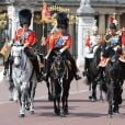 Le prince William, colonel des Irish Guards, et le prince Charles, colonel des Welsh Guards, le 15 juin 2013, lors de la parade Trooping the Colour, à la gloire des forces armées et de l'anniversaire de la souveraine, Elizabeth II.