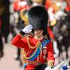 Le prince William, colonel des Irish Guards, le 15 juin 2013, lors de la parade Trooping the Colour, à la gloire des forces armées et de l'anniversaire de la souveraine, Elizabeth II.