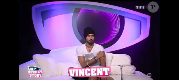 Vincent dans la quotidienne de Secret Story 7, samedi 15 juin 2013 sur TF1