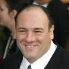 James Gandolfini, le parrain des Soprano, est mort d'une crise cardiaque à l'âge de 51 ans.