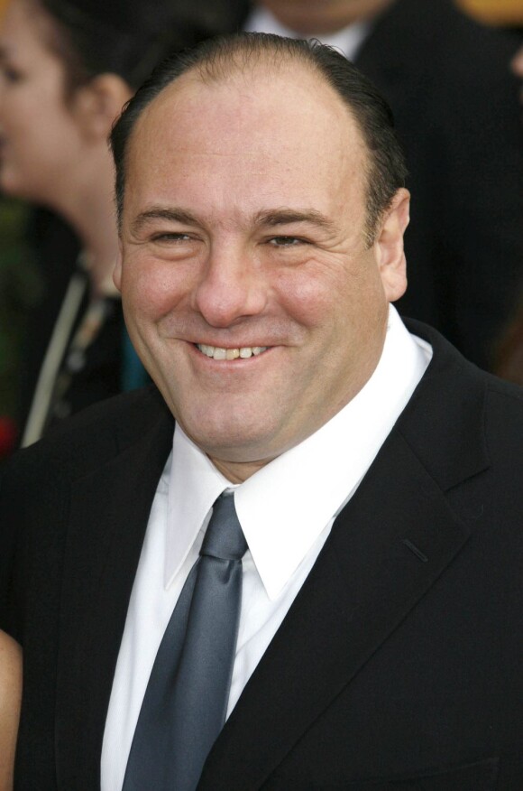 James Gandolfini, le parrain des Soprano, est mort d'une crise cardiaque à l'âge de 51 ans.