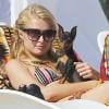 Paris Hilton et son chiot à Malibu le samedi 6 juillet 2013.