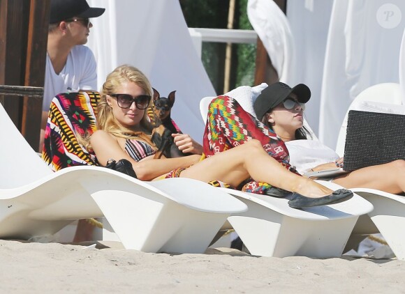Paris Hilton et son chiot à Malibu le samedi 6 juillet 2013.