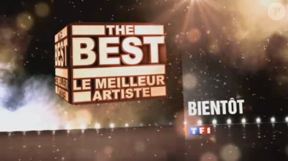 The Best : Le meilleur artiste arrive sur TF1 le vendredi 26 juillet.