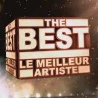 The Best, le meilleur artiste : Premières images du nouveau show démesuré de TF1