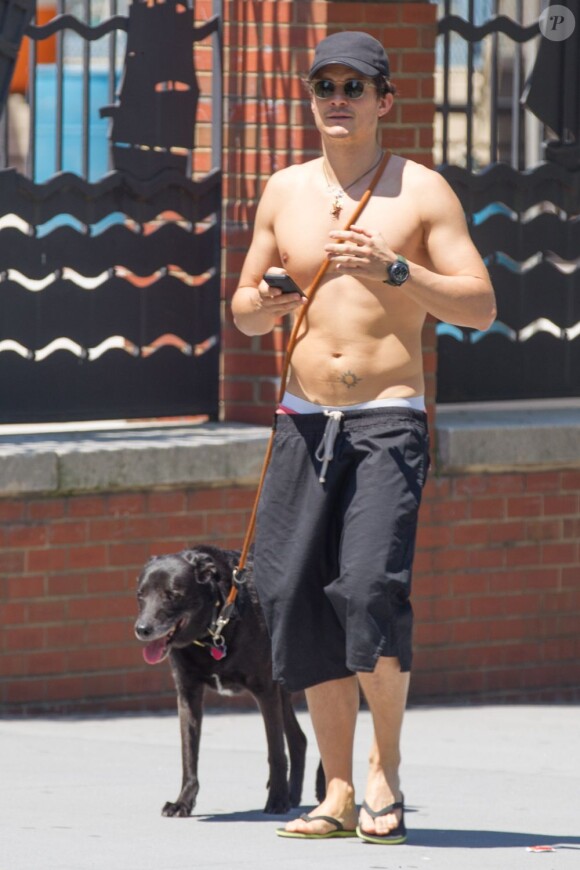 Orlando Bloom dévoile ses abdos au côté de son chien Sidi à New York le 16 juillet 2013.