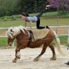 Exclusivité : Adeline Blondieau sur le tournage de "Le cheval, c'est trop génial !" le 2 mai 2013, pour la chaîne jeunesse Gulli.