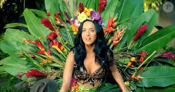 La jolie Katy Perry en nouvelle reine de la jungle dans le clip de Roar.