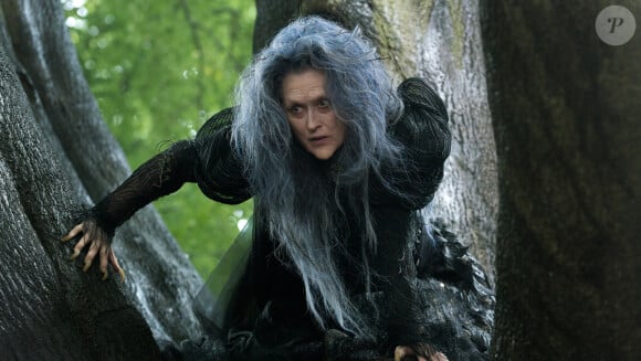Le film Into the Woods avec Meryl Streep