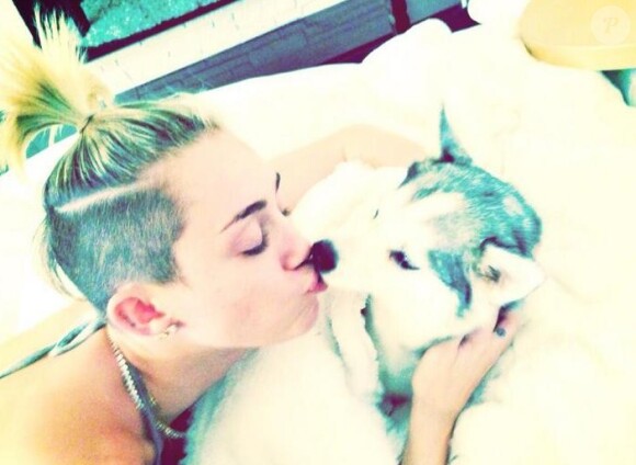 Miley Cyrus a posté une série de photos avec ses chiens sur Twitter.