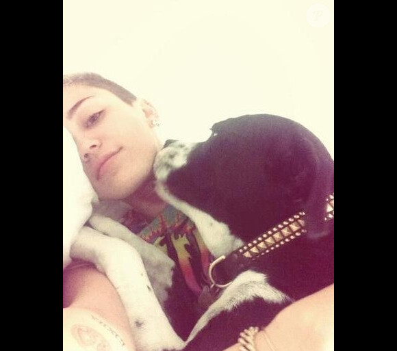 Miley Cyrus a posté une série de photos avec ses chiens sur Twitter.