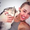 Miley Cyrus a posté une série de photos avec ses chiens sur Twitter.