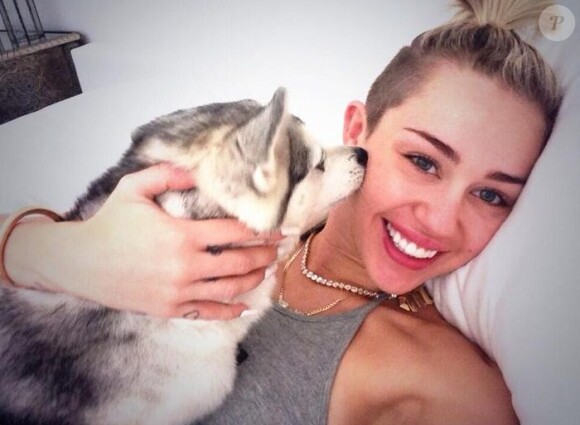 Miley Cyrus a posté une série de photos avec ses chiens sur Twitter.