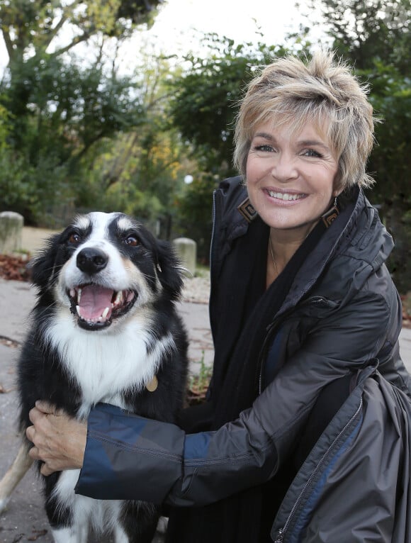 Exclusif - Véronique Jannot et son chien arrivant lors de l'enregistrement de l'émission Vivement dimanche à Paris le 6 novembre 2013. Diffusion sur France 2 le 10 novembre
