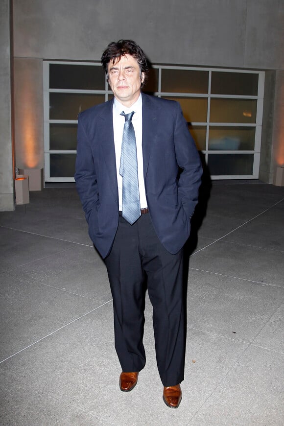 Benicio Del Toro était invité à la réception donnée par James Costos, l'ambassadeur des Etats-Unis en Espagne, dans sa résidence de Los Angeles, le 14 Novembre 2013.