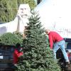 Heidi Klum, son compagnon Martin Kristen et ses enfants Leni, Henry, Johan et Lou sont allés acheter un sapin de Noël. West Hollywood, le 30 novembre 2013.