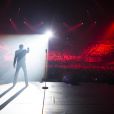 Exclusif - Johnny Hallyday en concert au Palais Omnisports de Paris Bercy pour son 70e anniversaire dans le cadre du "Born Rocker Tour", le 15 juin 2013.