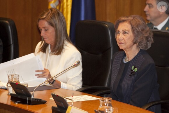 La reine Sofia lors d'une conférence sur l'accessibilité en zone urbaine le 3 décembre 2013 au ministère de la Santé, à Madrid.
