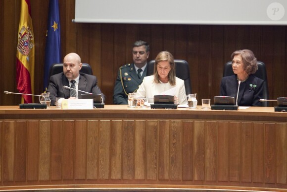 La reine Sofia lors d'une conférence sur l'accessibilité en zone urbaine le 3 décembre 2013 au ministère de la Santé, à Madrid.