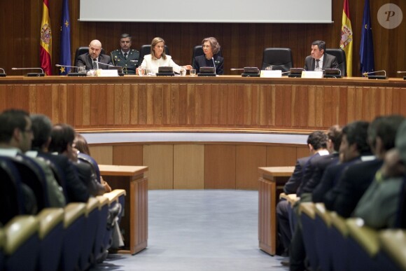 La reine Sofia lors d'une conférence sur l'accessibilité en zone urbaine le 3 décembre 2013 au ministère de la Santé, à Madrid.