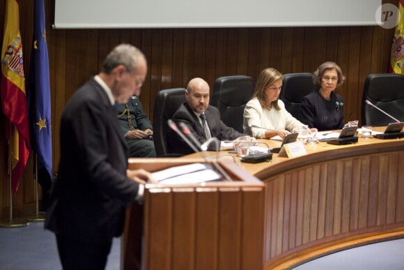 La reine Sofia lors d'une conférence sur l'accessibilité en zone urbaine le 3 décembre 2013 au ministère de la Santé, à Madrid.