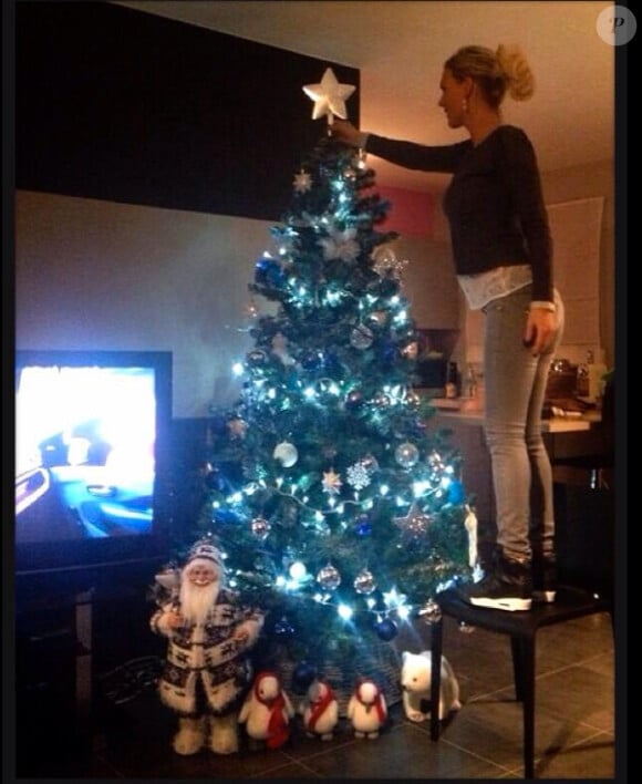 Amélie Neten a préparé un joli sapin en attendant Noël - Twitter