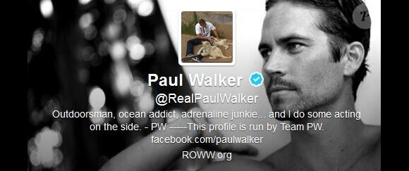 Le message annonçant la mort de Paul Walker fut celui qui a été le plus retweeté en 2013.