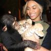 Beyoncé, amie des bêtes, a loué le zoo de Miami pour les festivités des 2 ans de sa fille, Blue Ivy.